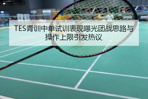 TES青训中单试训表现曝光团战思路与操作上限引发热议